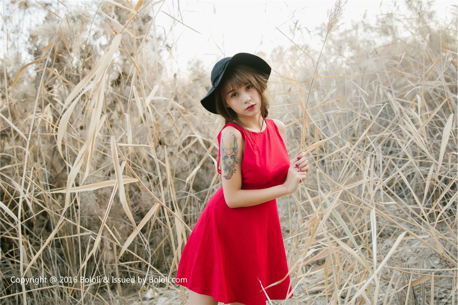 [BoLoLi]波萝社新刊 2016-12-29 Vol.017 夏美酱